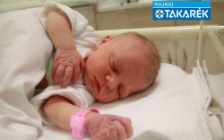 Horváth Ketrin, Acsalag