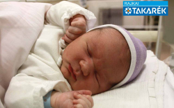 Sabján Zalán, Mosonmagyaróvár