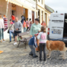 Gyereknap a Magyar utcán (Fotó: Nagy Mária)