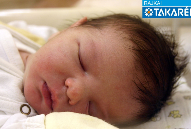 Andorka Gergő, Bősárkány