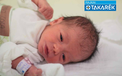 Tamási Lola, Mosonmagyaróvár