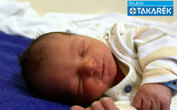 Kámán Zétény, Sopron