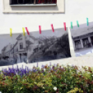 Virágzó Város Mosonmagyaróvár 2. nap (Fotó: Stipkovits Veronika)