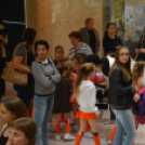 Nyárcsalogató (Fotó: Nagy Mária)