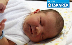 Hegyi Kristóf Róbert, Mosonmagyaróvár