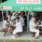 Civil Nap Mosonmagyaróváron