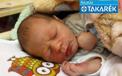 Kovács Attila, Kapuvár