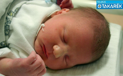 Bukovits Dániel, Dunakiliti