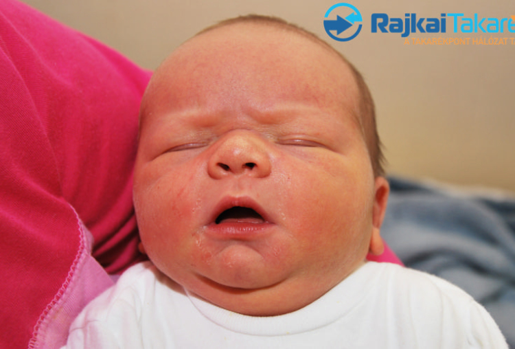 Zsigmond Zalán, 4210 gr. Feketeerdő 