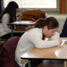 Ujhelyi Imre Általános Iskola - Életvitel és Gyakorlati ismeretek verseny megyei fordulója