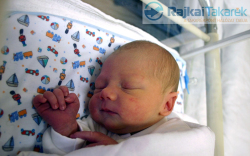 Süly Zsombor, Halászi