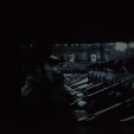 56-os megemlékezés (Fotó: Nagy Mária)