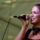 Szigetköz ízei, vármegye borai fesztivál / VÁRMEGYE SZÉPE - VÁRMEGYE HANGJA (Fotó: Horváth Attila)