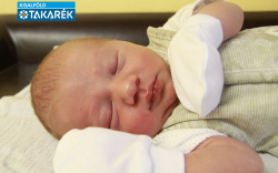 Gartner Benedek, Sopron