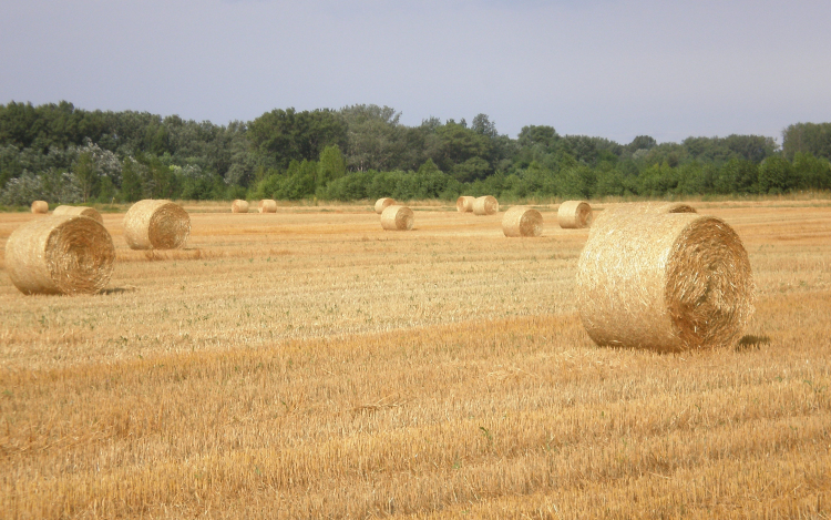 Aratás idején is figyeljünk a tűzesetek megelőzésére! 