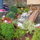 VI. Apró kezek, Csodakertek Gyermek Kertépítő verseny (Fotó: Bánhegyi István)