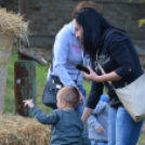 Szigetköz ízei, vármegye borai fesztivál - péntek (Fotó: Nagy Mária)