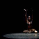 Japán Kert (Fotó: Horváth Attila)