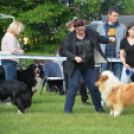 CAC kutyakiállítás (Fotó: Nagy Mária)