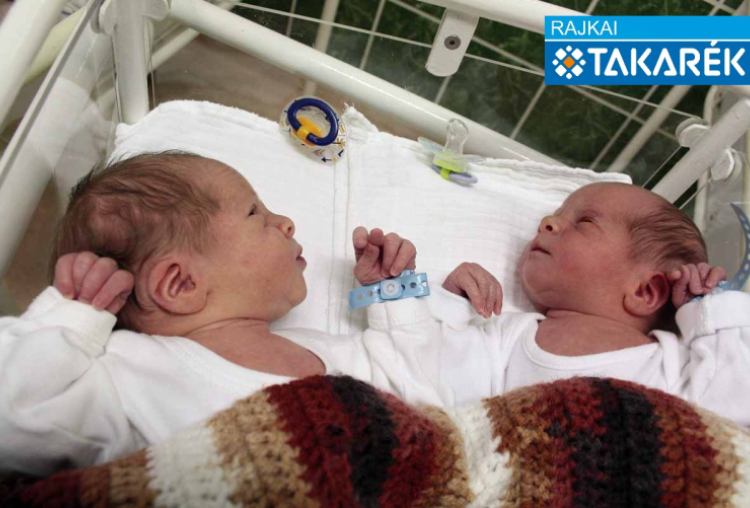 Melecski Áron és Melecski Alex, Jánossomorja