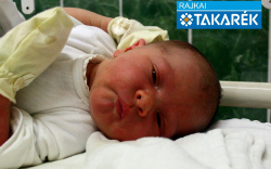 Schmiedt Kornél, Mosonmagyaróvár