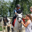 Pillangó Óvoda lovas nap és piknik (Fotó: Stipkovits Veronika)