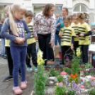 Apró kezek, csodakertek kertépítő verseny (Fotó: Horváth Attila)