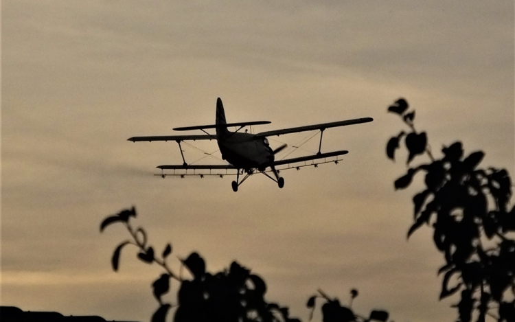 Az ünnep hetén is gyérítik a szúnyogokat