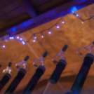 Szigetköz ízei vármegye borai fesztivál /szombat/