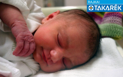 Fördős Petra, Jánossomorja