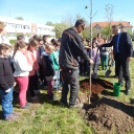 Faültetés a Föld Napja alkalmából