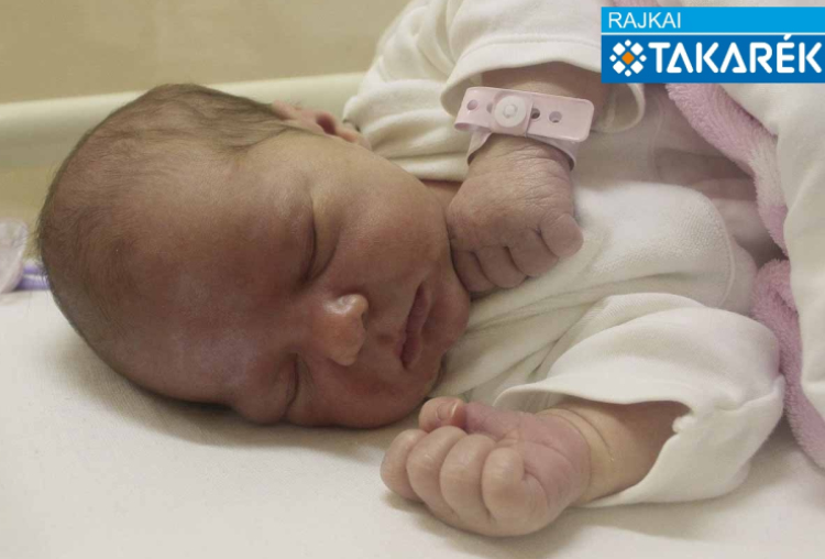 Zimmerer Vivien, Mosonmagyaróvár