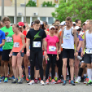 XII. Greiner Szigetköz Minimaraton (Fotó: Horváth Attila)