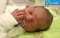 Mátyás Noel Miron, Mosonmagyaróvár