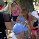 Pillangó Óvoda és Mini Bölcsőde - Sárkányhajózás 