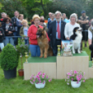 CAC kutyakiállítás (Fotó: Nagy Mária)