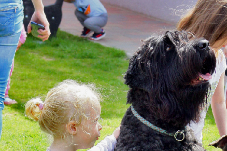 Az Ebuló Kutyaiskola interaktív kutyás bemutatója a Pillangó óvodában (Fotó: Stipkovits Veronika)