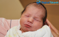 Barna Zalán, 2990 gr. Károlyháza