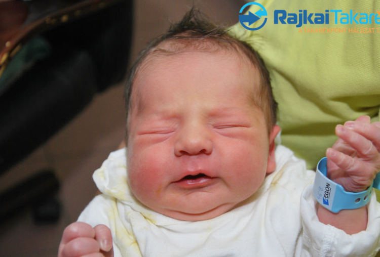 Hajnal Dominik, 3380 gr. Mosonmagyaróvár