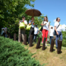 Entente Florale Day Mosonmagyaróvár - Virágzó Város Mosonmagyaróvár (Fotó: Bánhegyi István)