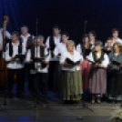 Dan Hrvata, Horvát Nap