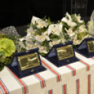 Dan Hrvata, Horvát Nap