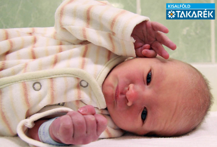 Haskó Dániel, Dunakiliti