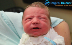 Fehérvizi Nimród, 3140 gr. Mosonmagyaróvá