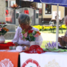 Virágzó Város Mosonmagyaróvár 2. nap (Fotó: Stipkovits Veronika)