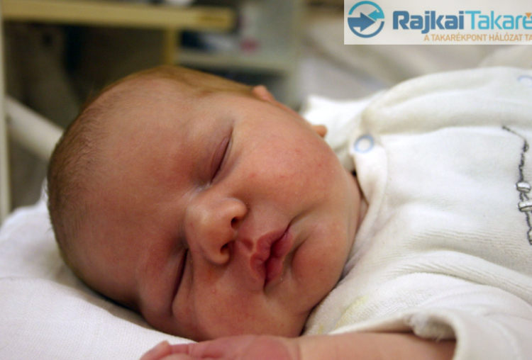 Németh Zoárd, Várbalog