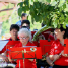 Virágzó Város Mosonmagyaróvár 2. nap (Fotó: Stipkovits Veronika)