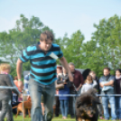 CAC kutyakiállítás (Fotó: Nagy Mária)