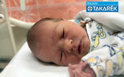 Cseri Milán Róbert, Mosonmagyaróvár