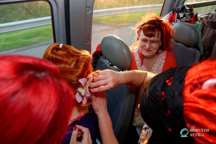 Japán Kert (Fotó: Horváth Attila)